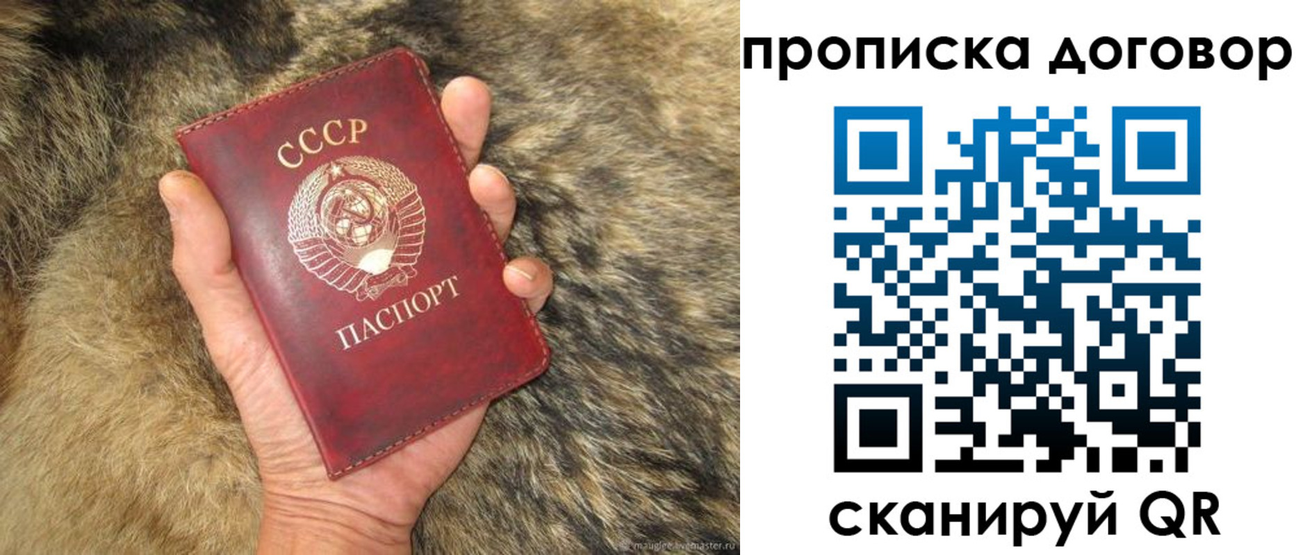 прописка регистрация в Камешково