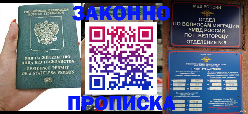 прописка для кредита в Камешково